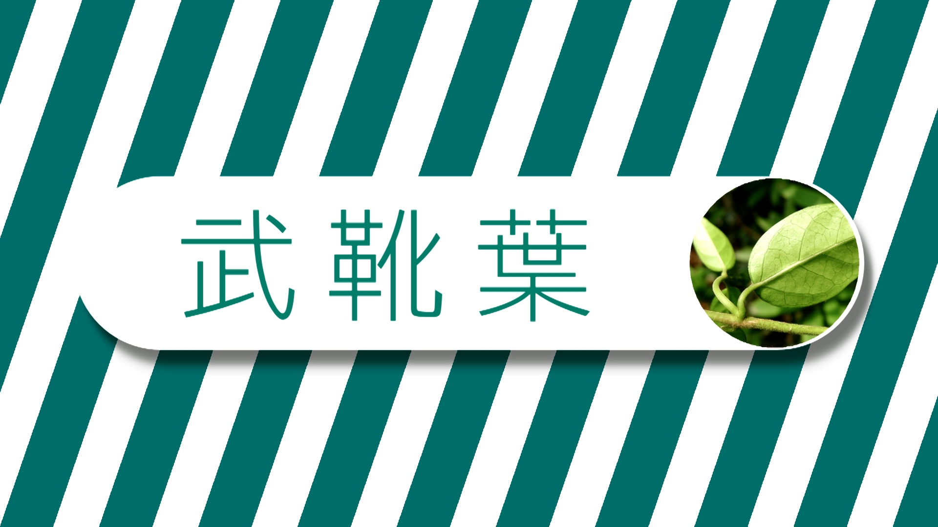 Chris指：「建議服用天然補充品去保護心血管健康，可以留意武靴葉這種成分，它可有助於阻止醣分吸收和壞脂肪形成，讓血管垃圾積聚的機會減少。」