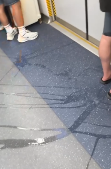 港鐵東鐵綫男子公然車廂內小便全被拍　滿地尿液周圍流動網民直呼嘔心