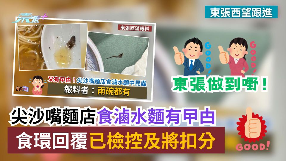 東張西望跟進｜尖沙嘴麵店食滷水麵有曱甴　食環回覆已檢控及將扣分
