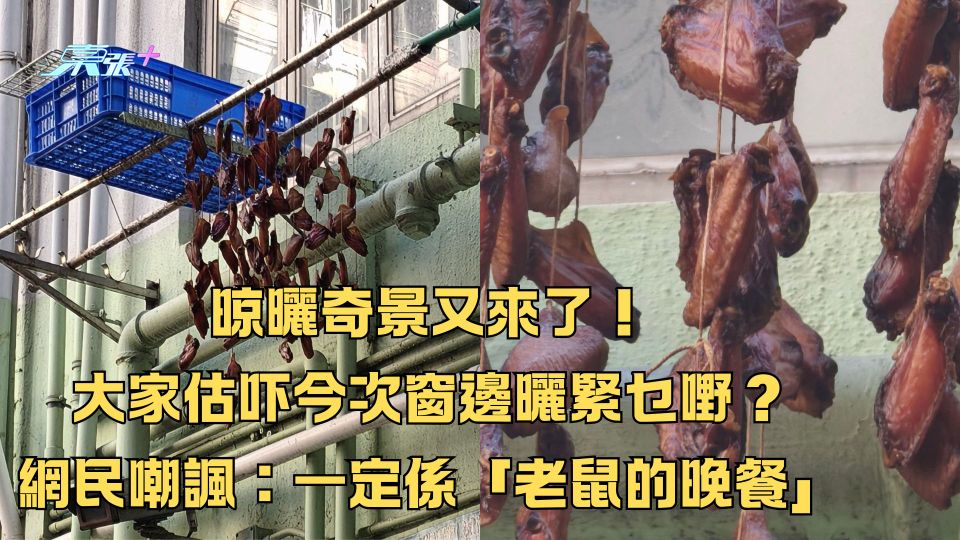 晾曬奇景又來了！大家估吓今次窗邊曬緊乜嘢？網民嘲諷：一定係「老鼠的晚餐」