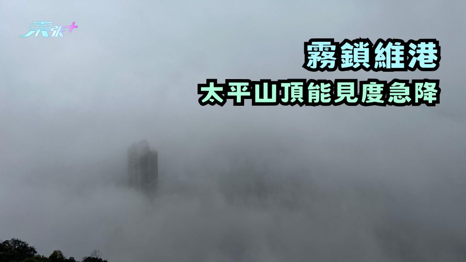  霧鎖維港 太平山頂能見度急降