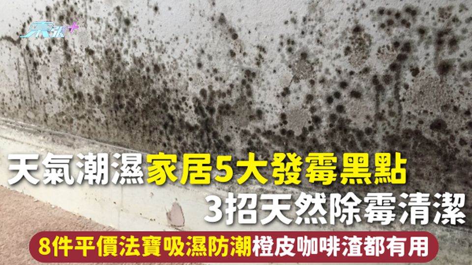 潮濕天氣 | 濕度高家居5大發霉黑點 3招天然除霉清潔 8件平價法寶吸濕防潮橙皮咖啡渣都有用