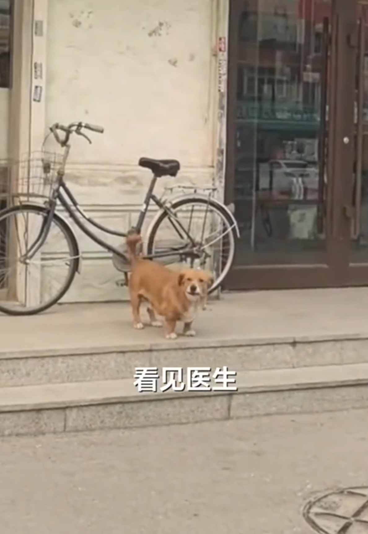 （網上圖片）