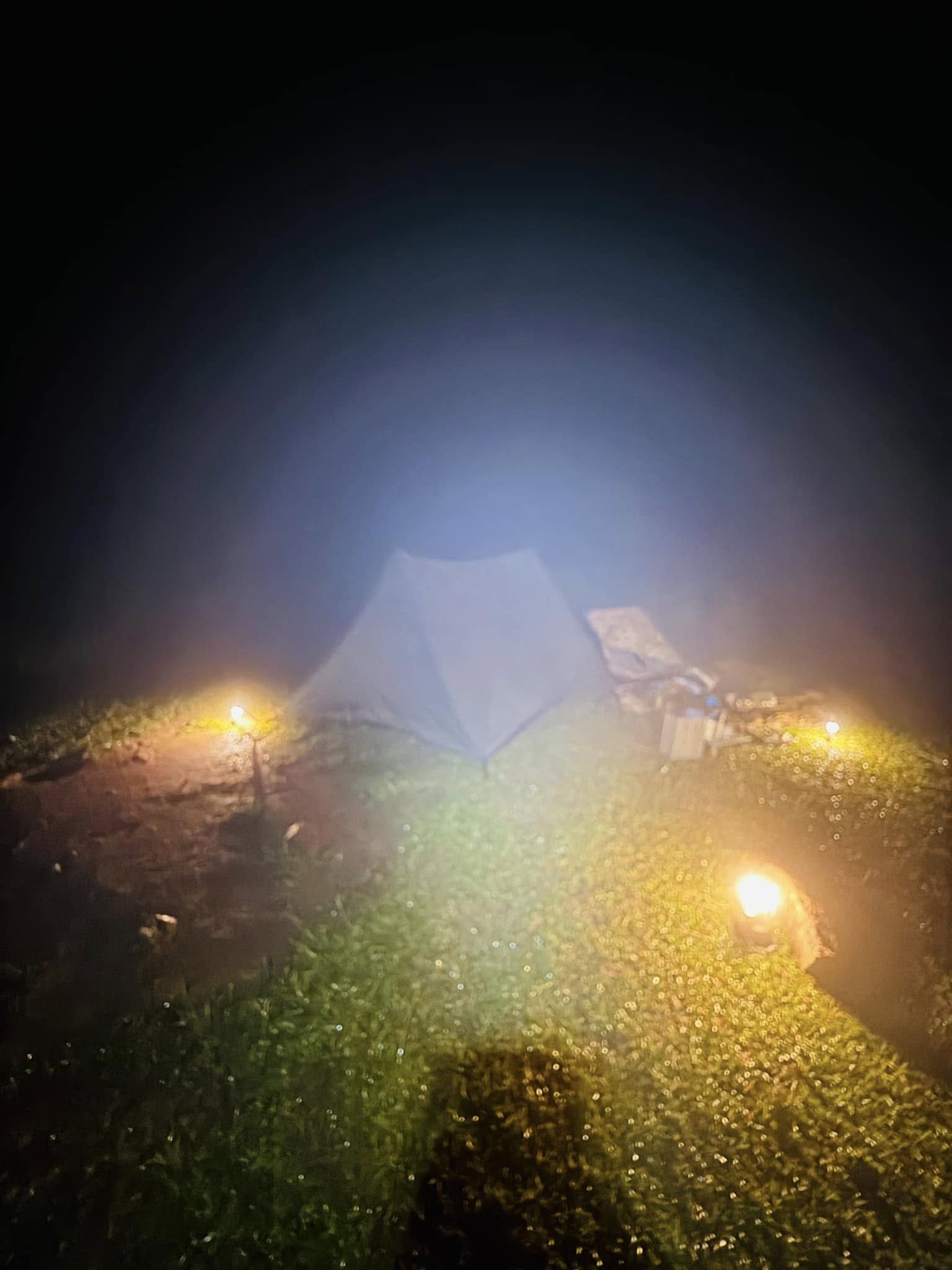 港男昂坪露營慘遭野豬攻擊帳篷