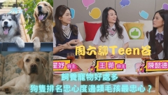 周六聊Teen谷｜飼養寵物好處多 狗隻忠心度排名邊類毛孩最忠心？