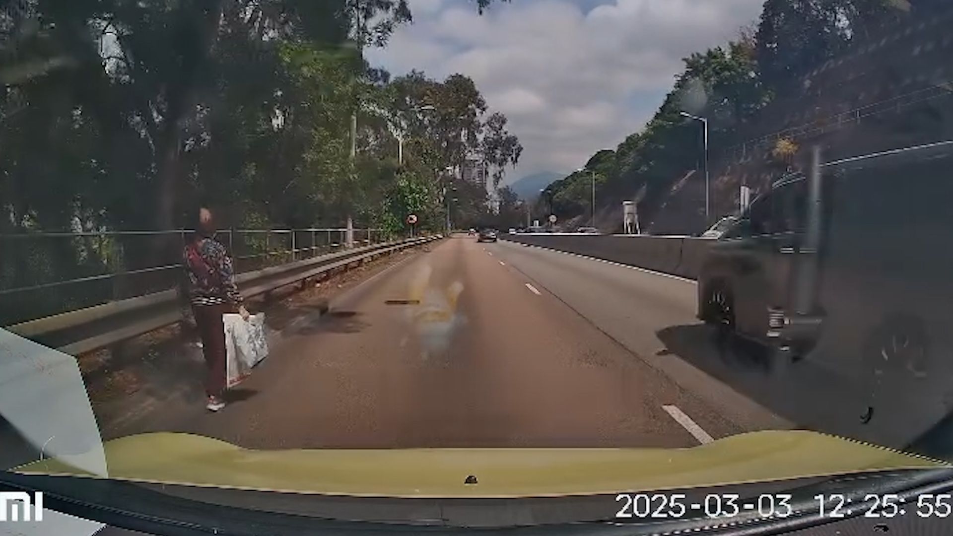 老婦獅子山隧道落錯巴士步行回家，熱心司機見狀開車送回家。(影片截圖)