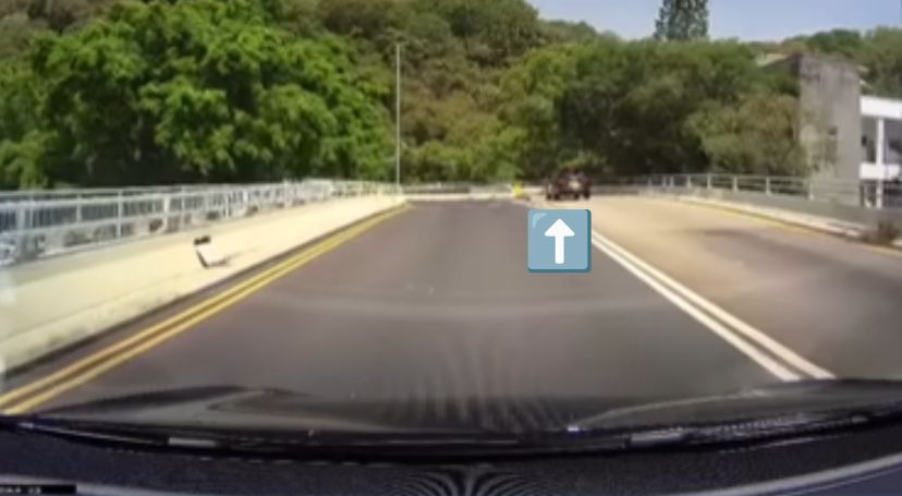 香港仔中港牌車硬Cut雙白線