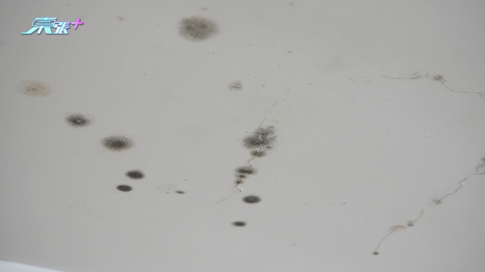 影片可見，洪先生單位的電錶箱已被水浸濕，專家提醒長期受潮可增加漏電風險，更指現時環境「唔適合住」，建議暫時搬離。