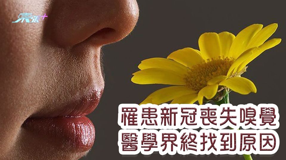 罹患新冠喪失嗅覺 醫學界終找到原因
