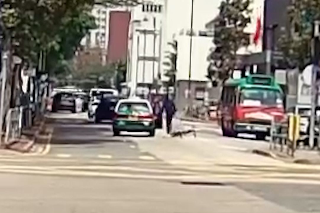 馬路MMA｜元朗單車友大戰綠的司機，互毆打到撞落小巴勁精彩。