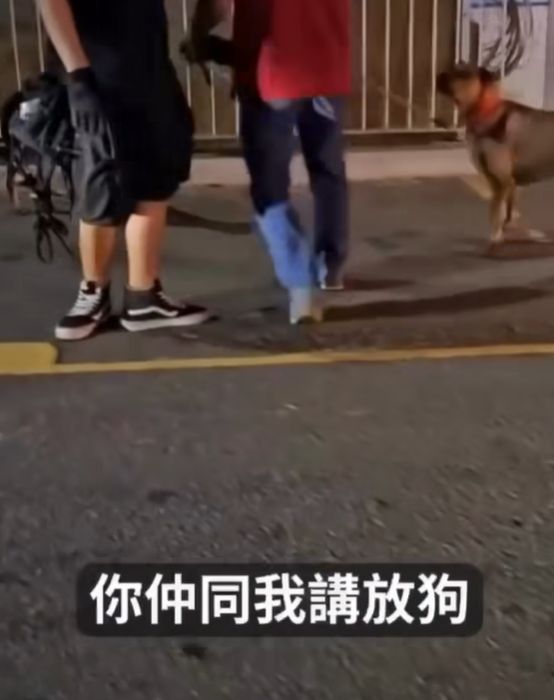 屯門男子被指故意放繩讓愛犬追咬流浪狗　狗義工呼籲停止傷害