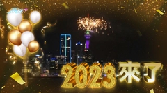 新西蘭慶祝踏入2023年 奧克蘭地標天空塔綻放逾三千枚煙花