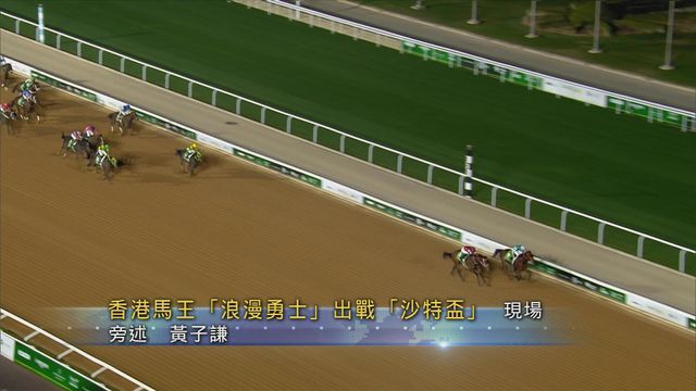 香港馬王「浪漫勇士」沙特盃屈居第二，累積獎金破2億港元。