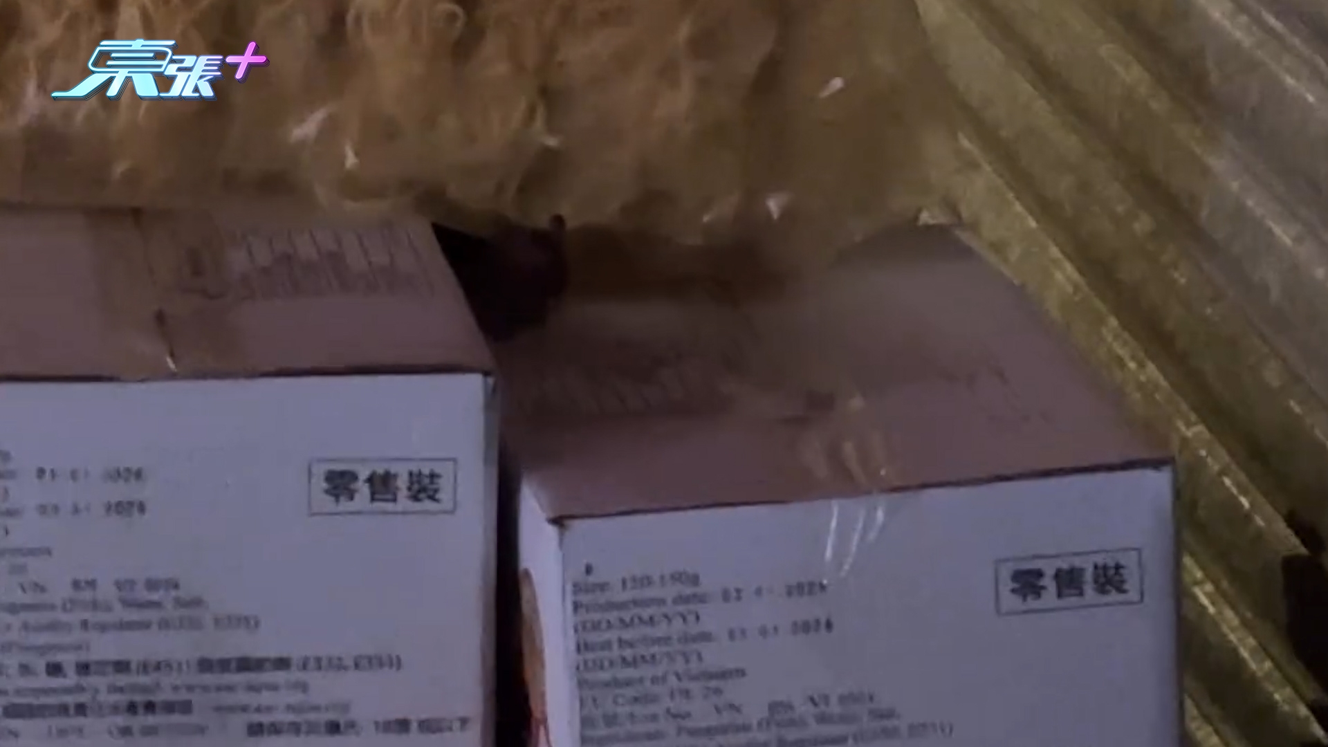 東張西望報料｜荃灣糧食店貨品放街外惹老鼠開餐　「鼠鼠」夜深站紙箱覓食惹關注