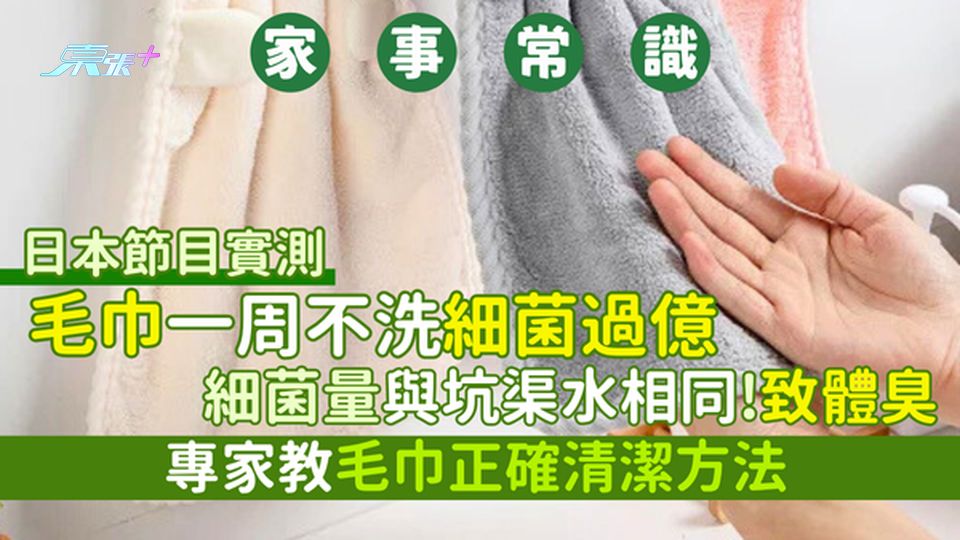 家事常識｜日本節目實測毛巾一周不洗細菌過億　 細菌量與坑渠水相同/會致體臭/專家教正確清潔方法