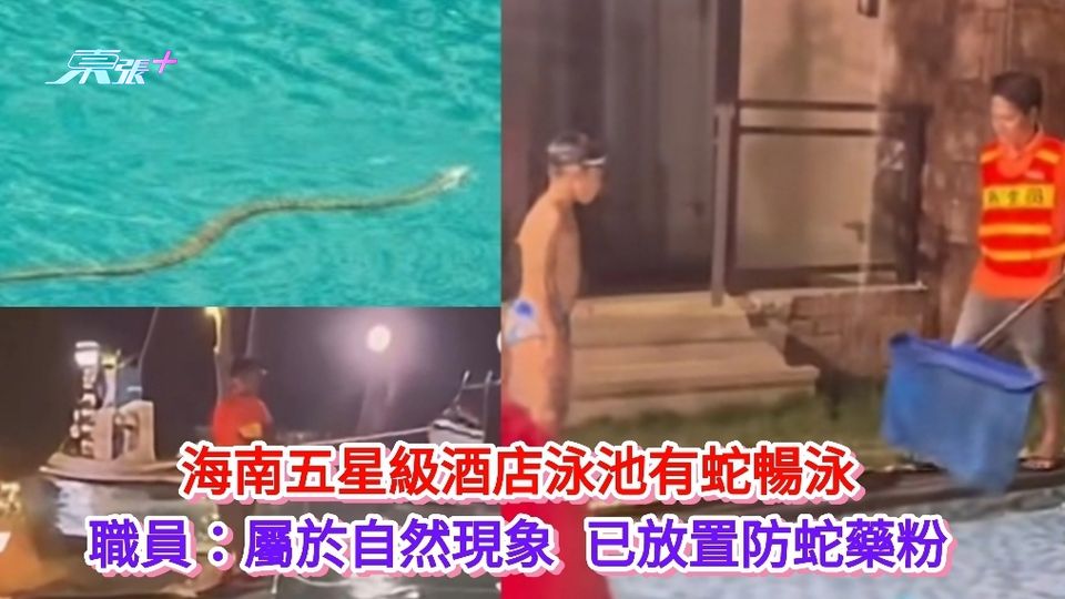 有片丨海南五星級酒店泳池有蛇 職員：屬於是自然現象 已放置防蛇藥粉