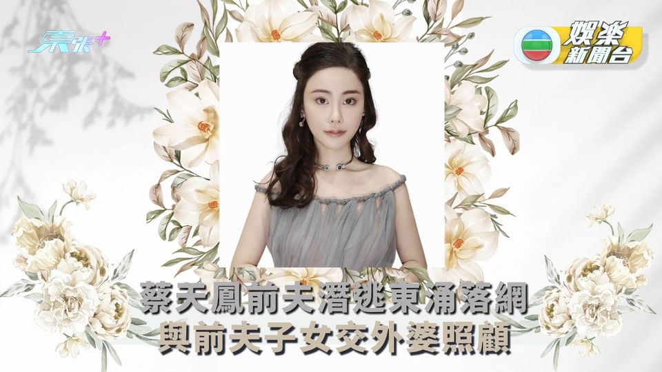 蔡天鳳碎屍案丨前夫潛逃東涌落網 與前夫子女交外婆照顧