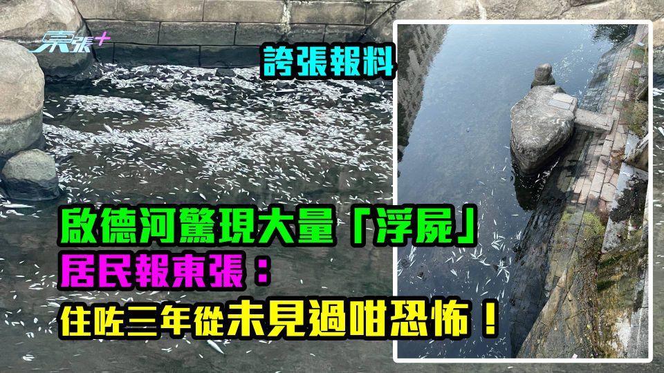 屍流成河片段｜啟德河驚現大量「浮屍」 居民報東張：住咗三年從未見過咁恐怖！