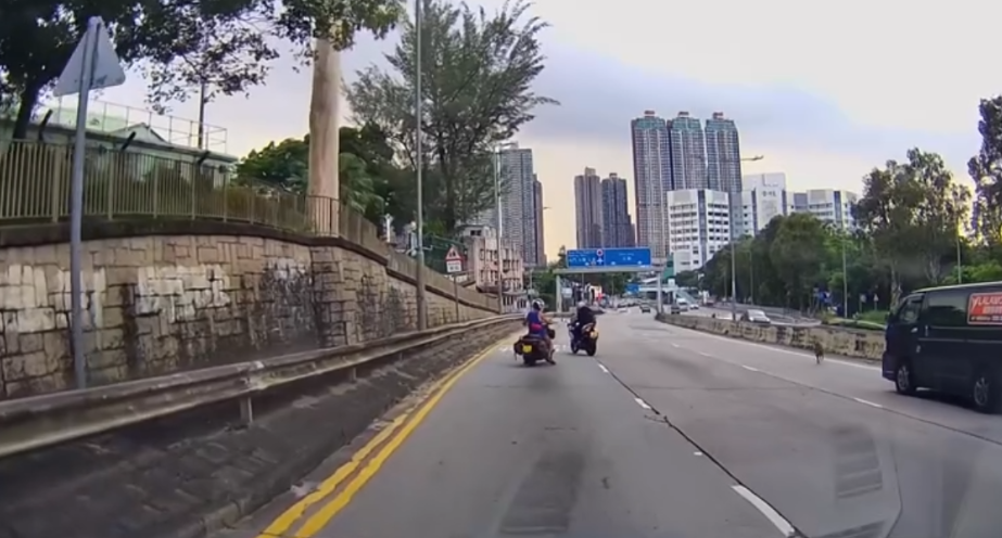 車Cam直擊|青山公路好心鐵騎士護送流狼狗 網民大讚:人間有愛