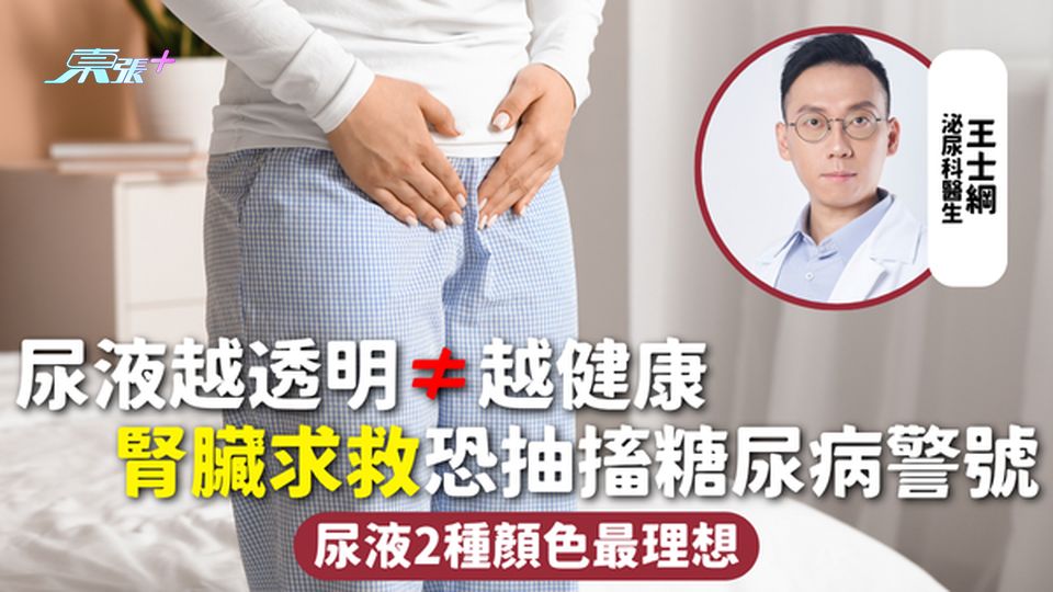 尿液顏色 | 尿液越透明≠越健康 腎臟求救恐抽搐糖尿病警號 尿液2種顏色最理想