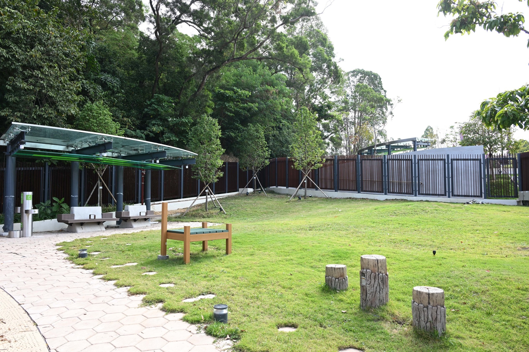 May be an image of grass