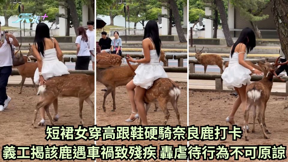 短裙女穿高跟鞋硬騎奈良鹿打卡 義工揭該鹿遇車禍致殘疾 轟虐待行為不可原諒