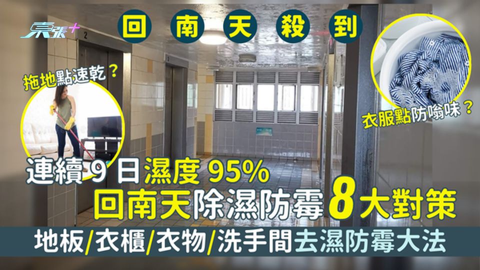 連續9日濕度95%☔回南天除濕防霉8大對策💦地板🧽/衣櫃/衣物👕/洗手間🚽去濕防霉大法