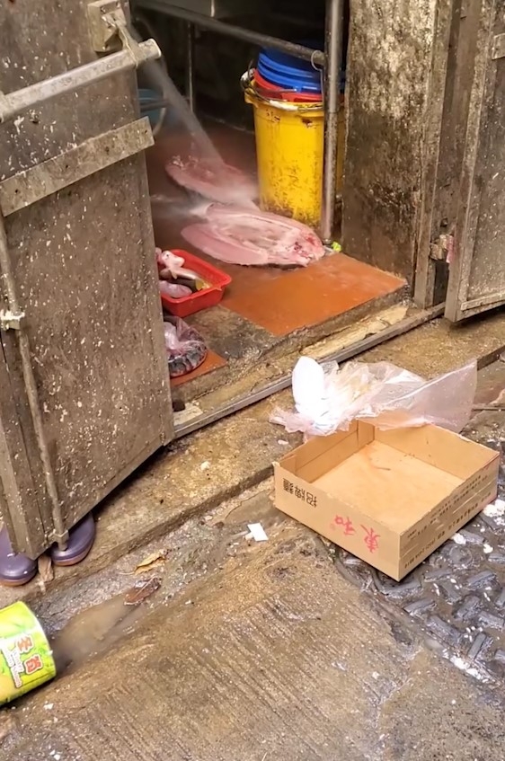 東張西望跟進｜旺角餐廳廚房地板「沖洗魚塊」　食環署：已向負責人提檢控