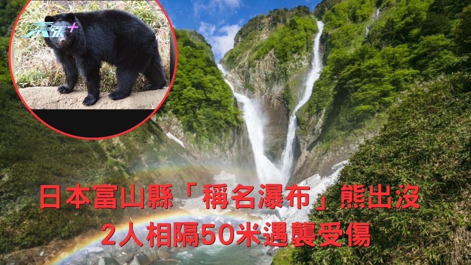 富山縣「稱名瀑布」熊出沒 2人相隔50米遇襲受傷