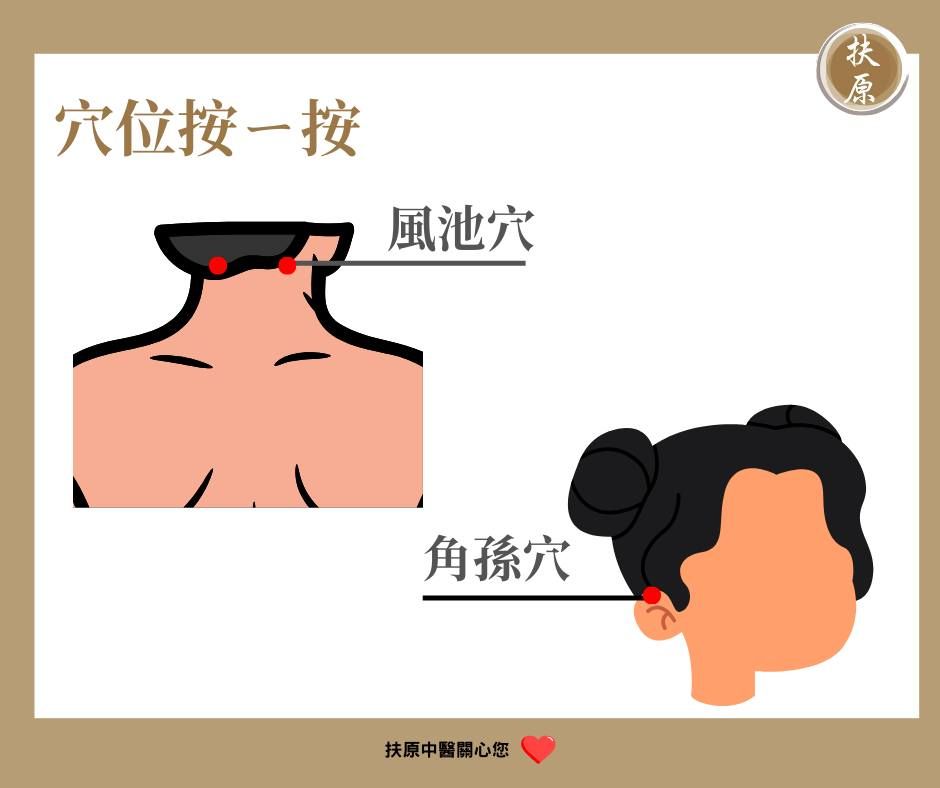 穴位按摩可刺激毛髮生長。（圖／羅可雯中醫師提供）