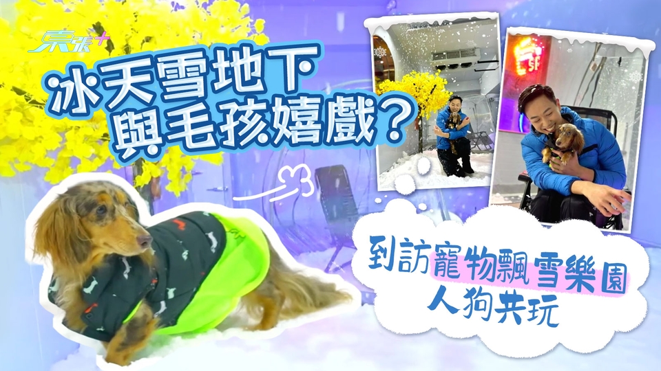 冰天雪地下與毛孩嬉戲？到訪寵物飄雪樂園人狗共玩