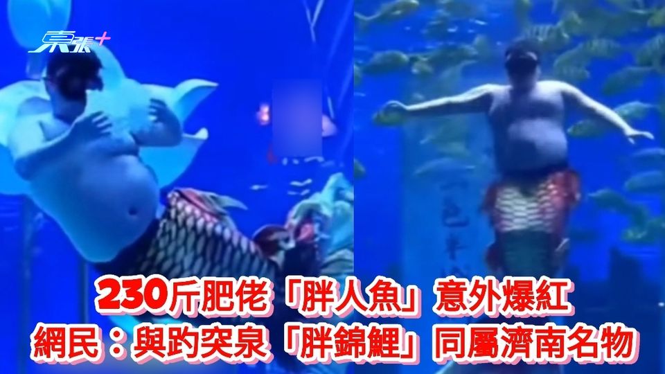 有片丨230斤肥佬「胖人魚」爆紅 網民：與趵突泉「胖錦鯉」同屬濟南名物