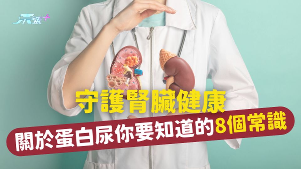 守護腎臟健康：關於蛋白尿你一定要知道的8個常識 #至識健康