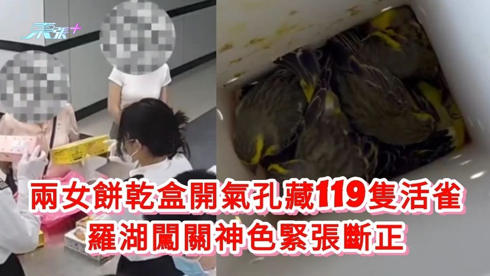 有片丨兩女餅乾盒開氣孔藏119隻活雀 羅湖闖關神色緊張斷正