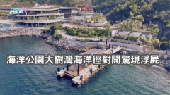 海洋公園大樹灣海洋徑對開驚現浮屍 