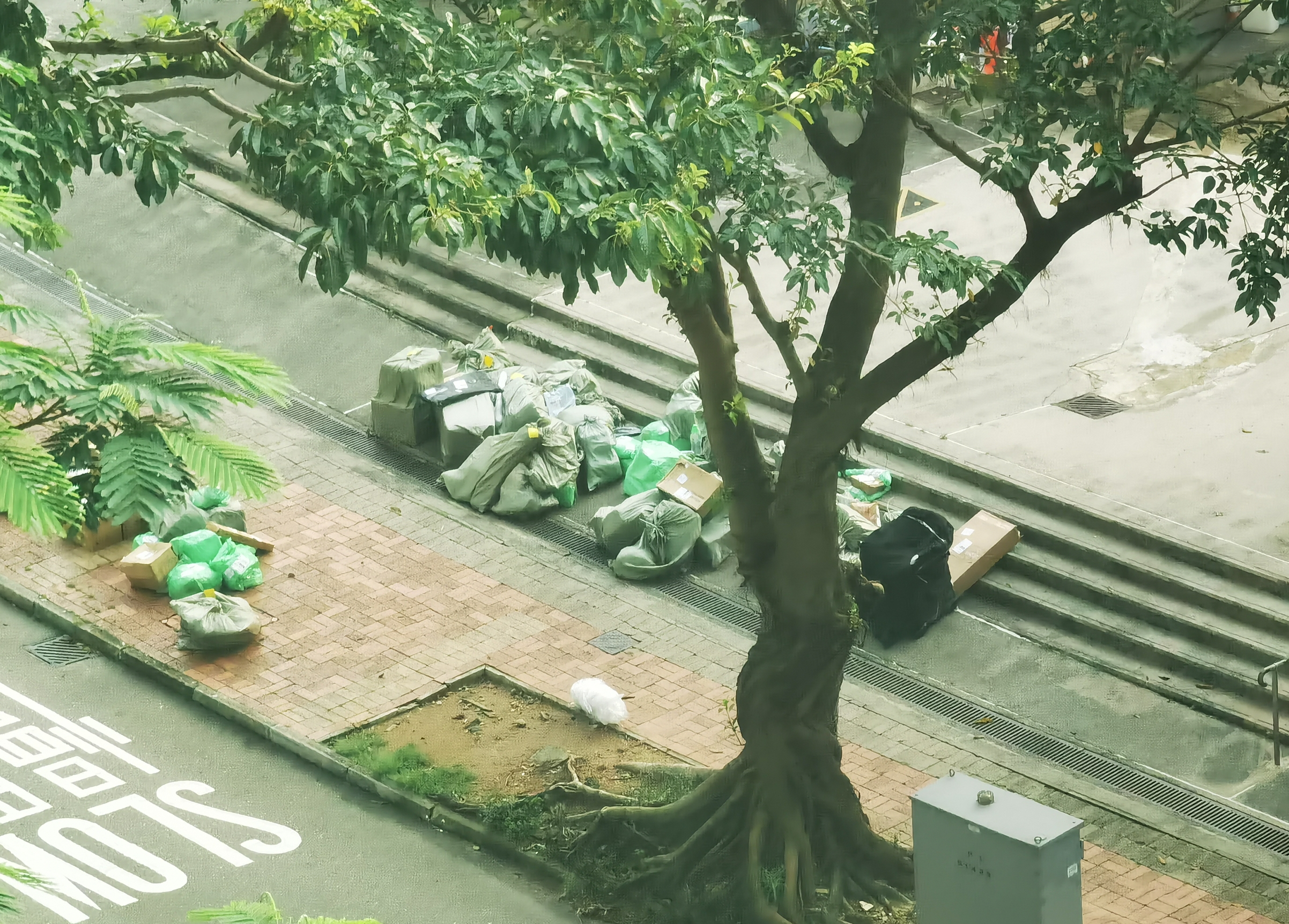 東張西望報料｜馬灣行人路變大型包裹集散地　集運貨物堆滿路邊居民投訴阻街 （觀眾李先生報料提供）