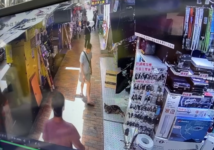 有片｜大叔鴨寮街入店齋唱散$500被拒　其後竟折返原店只為送貓店長兩條「紅衫魚」