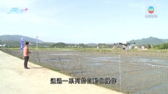 貴州無人農場採用AI等技術 有效提升生產品質及效率