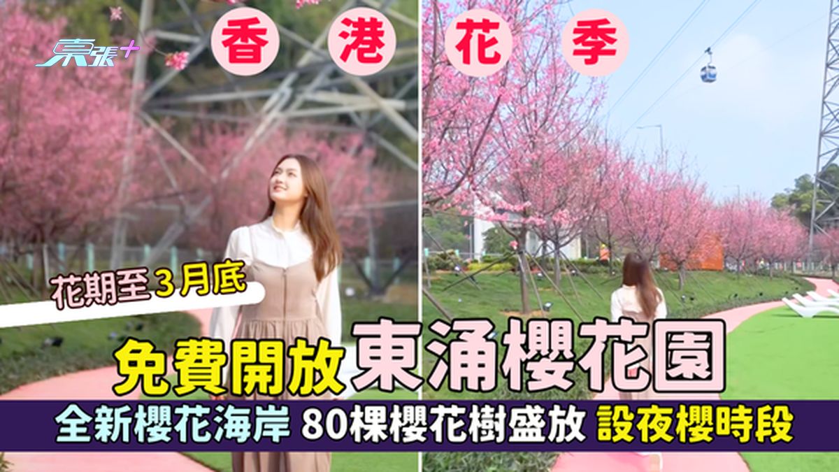 免费开放东涌樱花园🌸  全新樱花海岸80棵樱花树盛放📸｜设夜樱时段🌙｜花期至3月底🌳