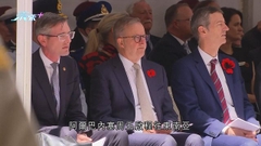 阿爾巴內塞指澳中關係復常 中方首要取消向澳實施貿易壁壘
