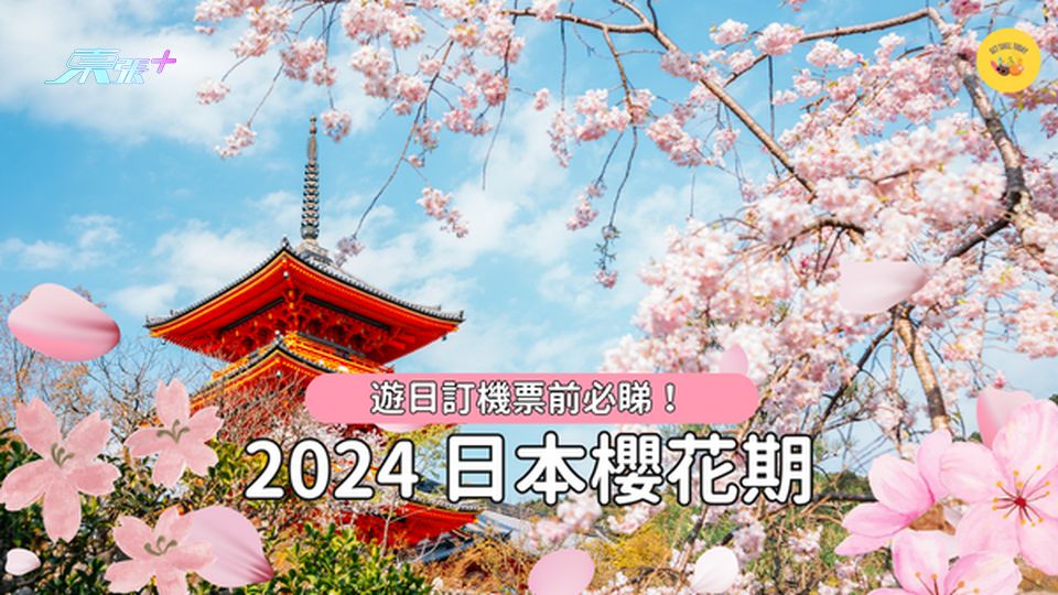 日本2024櫻花季預測！幾時去睇到滿開櫻花？ #超想去玩