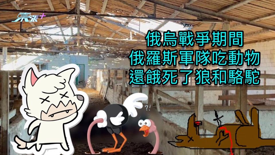 俄烏戰爭期間 俄羅斯軍隊吃動物 還餓死了狼和駱駝