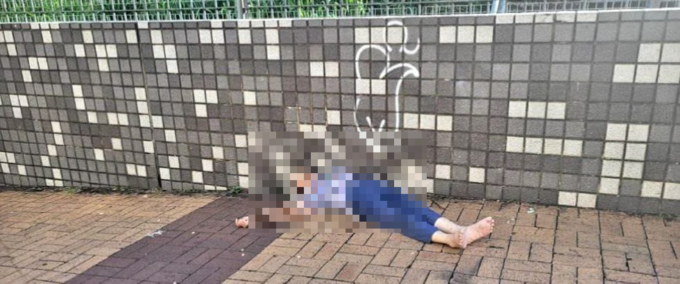 大埔私家車撞客貨車釀兩死兩傷　88歲僱主與印傭雙雙殞命