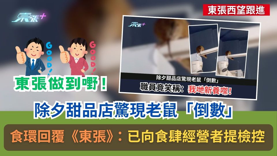 東張西望跟進｜除夕甜品店驚現老鼠「倒數」　食環回覆《東張》：已向食肆經營者提檢控