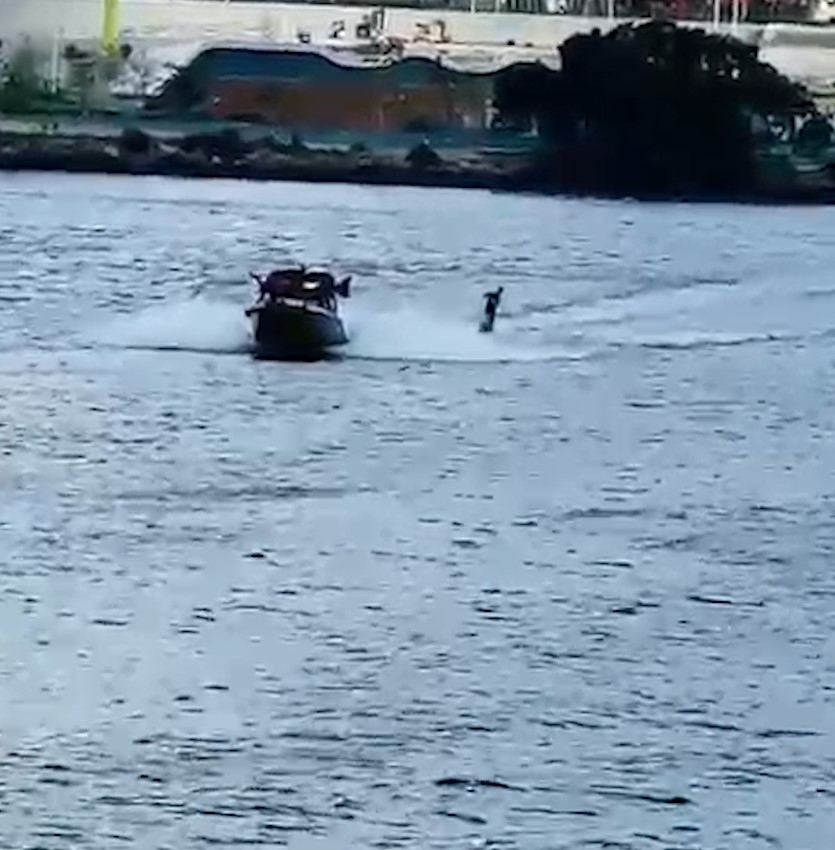 東張西望報料｜啟德對出海面有人公然滑水　報料人質疑：是否私人闖入？