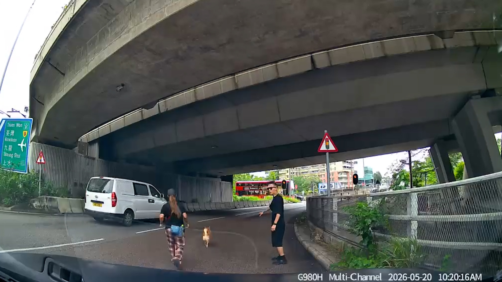 車Cam直擊｜好人好事！元朗柴犬誤闖迴旋處險被撞　司機落車徒手捉狗救命 （FB@車cam L（香港群組））