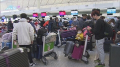 往來香港及日本航班未受大雪影響 旅議會稱最多半成團受阻