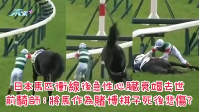 有片｜日本馬匹衝線後急性心臟衰竭去世 前騎師：將馬作為賭博棋子死後悲傷？
