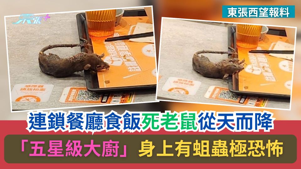 東張西望報料｜連鎖餐廳食飯死老鼠從天而降　「五星級大廚」出嚟招呼客人