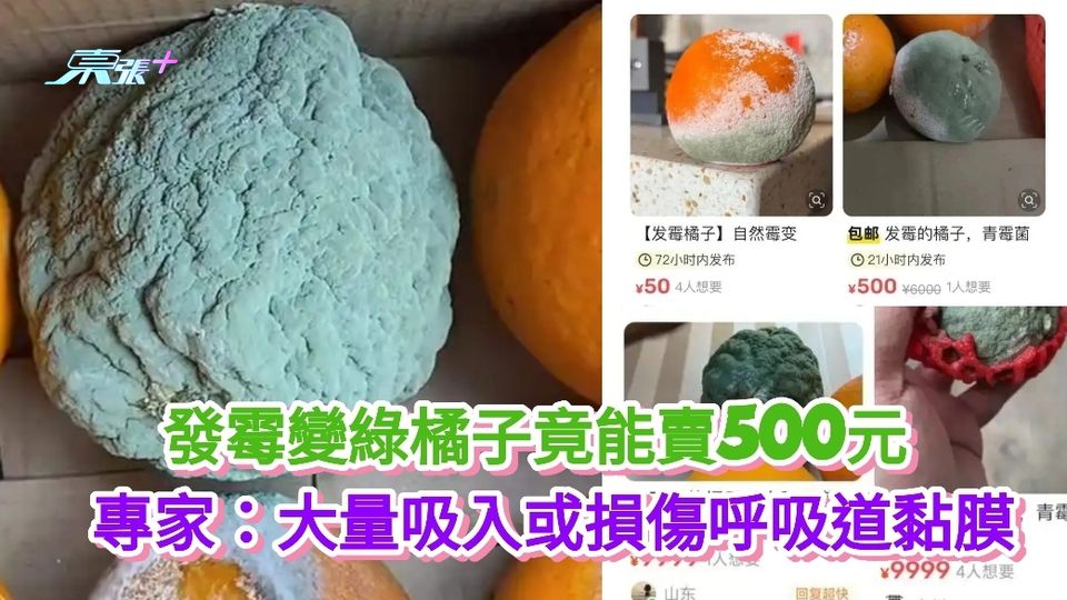 有片|發霉變綠橘子竟能賣500元 專家：大量吸入或損傷呼吸道黏膜